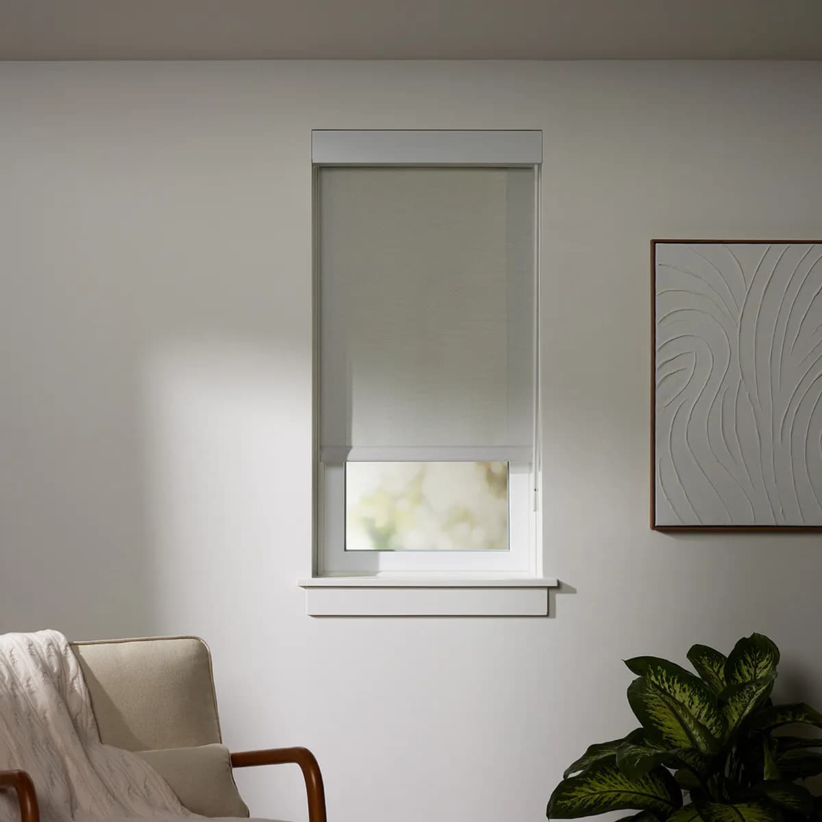Window Treatments