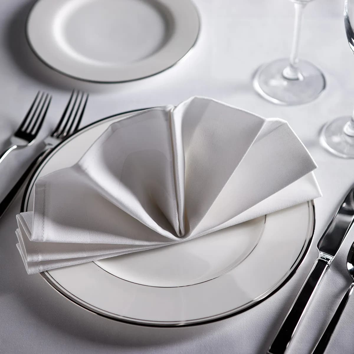 Cotton Napkin with Satin Band Border